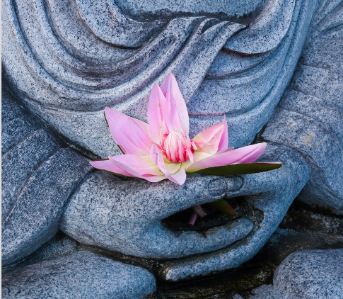 April 2026 - Lotus Flower on Statue